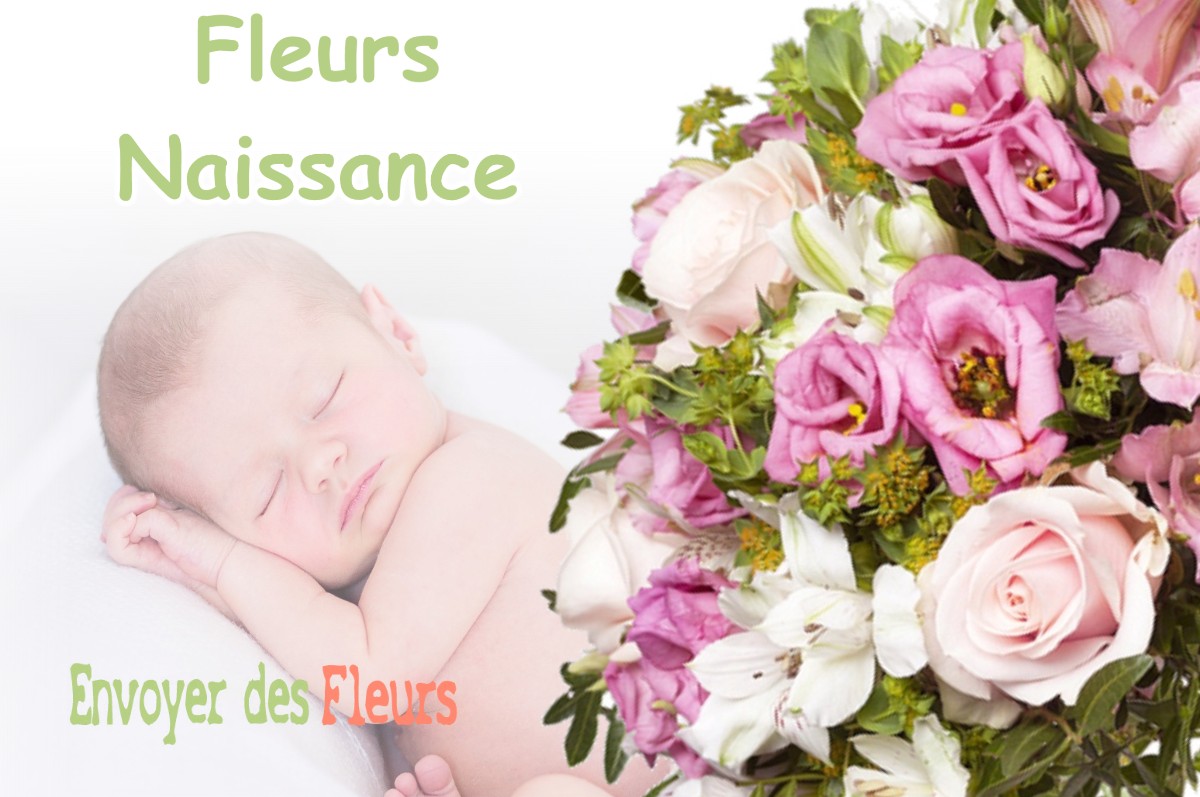 lIVRAISON FLEURS NAISSANCE à CORRENCON-EN-VERCORS